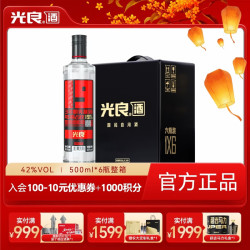 光良 数据瓶19系列 42度 浓香型白酒 500ml