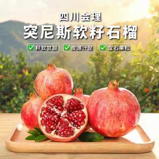 久雅优鲜 四川会理突尼斯软籽石榴 新鲜水果红番石榴甜石榴应季时令水果 净重4.5-5斤单果200-300g