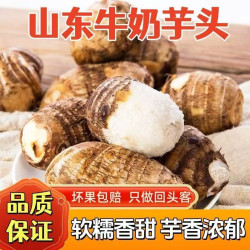 正宗牛奶小芋头新鲜毛芋头当季芋艿香芋软糯香甜现挖新鲜芋头