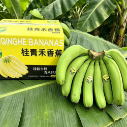 高山青皮甜香蕉新鲜水果自然熟无添加当季现摘现发绿蕉绿色香甜糯