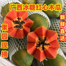 食悦果 广西牛奶冰糖红心木瓜9斤装新鲜采摘直发当季水果软嫩多汁好吃的