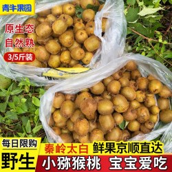 陕西秦岭野生猕猴桃新鲜水果儿童孕妇猕猴桃现摘绿心猕猴桃整箱