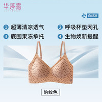 PLUS会员：华婷露 固定杯内衣  轻糯少女碎花豹纹   无痕防下垂  舒适聚拢
