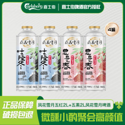风花雪月 五红*2罐+五黑*2罐 1L 4罐
