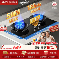 名气 燃气灶液化气双灶台家用嵌入式双边定时灶具5.0KW猛火煤气灶一级能效