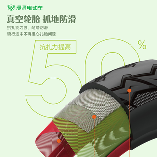 绿源 液冷电机 48V21Ah铅酸电池 清新绿 电动自行车