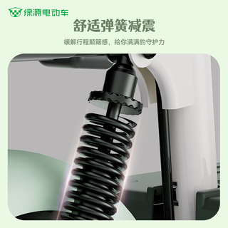 绿源 液冷电机 48V21Ah铅酸电池 清新绿 电动自行车