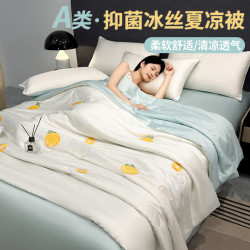 AVIVI A类可水洗凉感冰丝夏被单人夏凉被子空调薄被芯150*200cm菠萝织夏