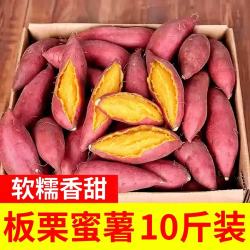 树奢 新鲜板栗红薯10斤西瓜红沙地蜜薯山芋现挖农家地瓜黄心番薯小香薯 红薯  带箱9-10斤 甄选