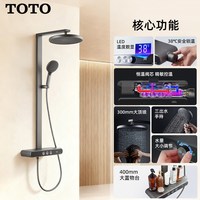 TOTO 官方正品TBW12480枪灰色花洒MY5 (05-E)