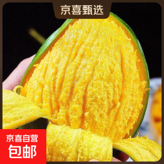 攀枝花凯特芒果大脸芒特大青皮芒当季整箱X水果 攀枝花凯特大芒果 含箱5斤净重4.5斤