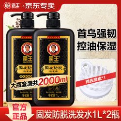霸王 侧柏叶固发防脱洗发液1L*2瓶