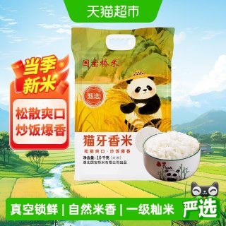 国宝桥米 甄选猫牙香米10kg南方籼米松散劲道适合炒饭真空包装20斤