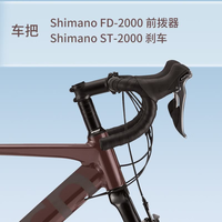 TERN Surge 451轮组 折叠公路自行车 柏林蓝