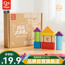 Hape 儿童积木 20粒积木 E9355