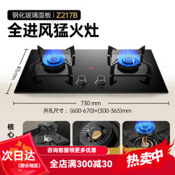 创维 煤气灶灶具燃气灶家用钢化玻璃+可拆炉头铜火盖5.2kW 天然气