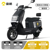 金箭 赛睿 39A大容量电池 电动摩托车