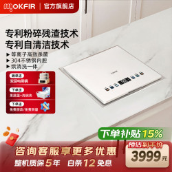 默克菲尔 粉碎残渣自清洁水槽式洗碗机家用厨房304不锈钢内腔大单槽