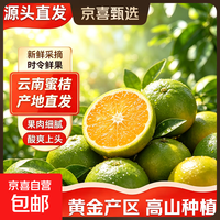 京喜加 新鲜直采 云南无籽青皮蜜橘 带箱5斤 净重4.5斤+