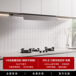 Bomadon 油烟机顶吸式厨房家用自动开合大吸力吸油烟机隐藏挥手智控欧式 V8全隐顶吸+L8三眼