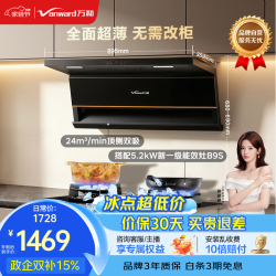 万和 家用大吸力V6L+70%热效B9S｜天然气