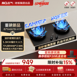 名气 液化气燃气灶A667B-H1P嵌入式家用5.0kW猛火灶具70%热效煤气灶双灶台