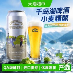 千岛湖啤酒 比利时小麦艾尔精酿原浆