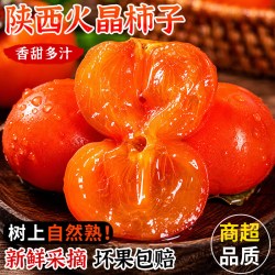甜盟 陕西火晶柿子30枚新鲜应季水晶软甜小柿子蜜柿 30枚丨40g+