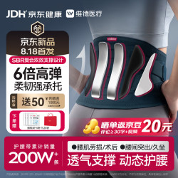维德 护腰医用级腰部支撑肌劳损夏透气托腰间盘突出腰带L