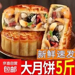 老五仁多口味天然大个五仁月饼中秋月饼独立包装 经典伍仁口味 100g大月饼*5个
