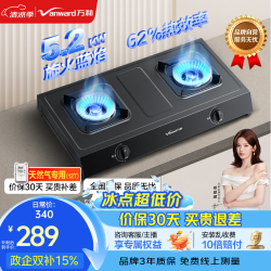 万和 家用大火力燃气灶台式双灶天然气液化气灶具免开孔台灶 天然气