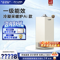 A.O.SMITH 燃气壁挂炉LL1GBQ-E10 天然气家用采暖热水两用壁挂炉 一级能效冷凝锅炉
