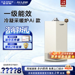 A.O.SMITH 燃气壁挂炉LL1GBQ-E10 天然气家用采暖热水两用壁挂炉 一级能效冷凝锅炉