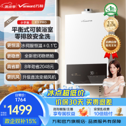 万和 家用平衡式燃气热水器可装浴室内一级节能全密闭稳燃舱主动防CO中毒E3 PRO 13L