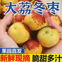正宗大荔冬枣脆甜新鲜现摘鲜枣应季