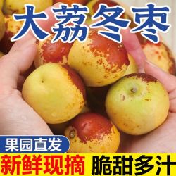 正宗大荔冬枣脆甜新鲜现摘鲜枣应季