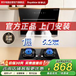 荣事达抽油烟机燃气灶套装家用侧吸式自清洗大吸力天然气双灶5.2kw猛火灶 C909B1+KN108G 天然气