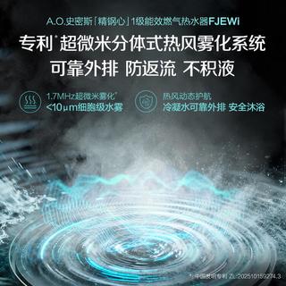 A.O.SMITH JSLQ28-FJEWi 一级能效恒温 16L 天然气热水器