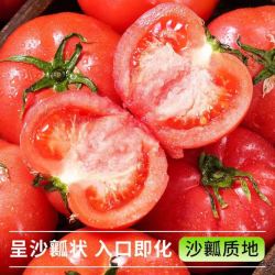 京喜加 沙瓤水果番茄 普罗旺斯西红柿