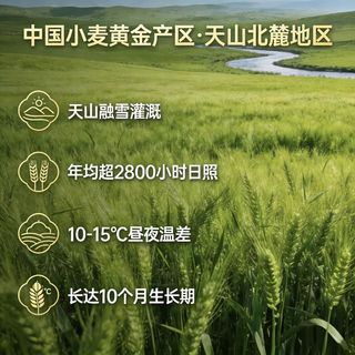 仓麦园 精制小麦粉 5kg 面粉