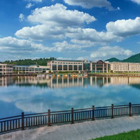 湖景大床房 2 晚(连住) + 双人自助早餐 1 份/天 + 双人无限次野生动物世界门票 1 份 + 双人森林温泉 1 份