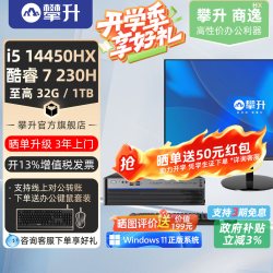 攀升 兄弟睿龙T412代13代小主机