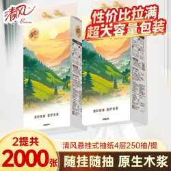清风 悬挂式抽纸4层1000张/提厕所宿舍实惠装家用壁挂纸巾卫生纸餐巾纸 2提