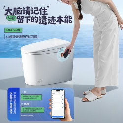 箭牌 L2轻智能马桶脚触离座冲AES1196L 400坑距免费送装