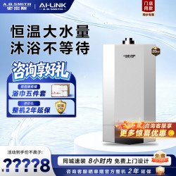A.O.SMITH 燃气壁挂炉L1PB-A1 家用采暖热水两用天然气壁挂炉  恒温型地暖暖气锅炉