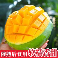 果力特 凯特芒果
