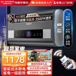 AO.GDSMISI 史密思热水器电热水器家用储水式洗澡速热扁桶双胆一级能效出水断电50L60升80升100升