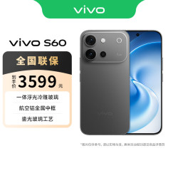 vivo S60 5G手机 12GB+256GB 仲夏夜