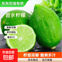京喜 广东香水柠檬新鲜水果无籽青柠檬奶茶店专用 果园现摘现发3粒（单果净重65g+）