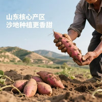 沙地蜜薯九龙蜜 小果单果100g起 带箱5斤净重4.5斤